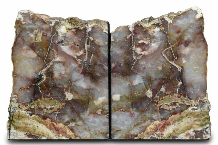 Tall Petrified Wood Bookends - Nevada #382145